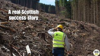 Forest management, timber harvesting and woodfuel: RTS Forestry at 40