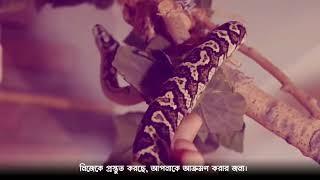 গ ল্প টি আপনার জী ব ন ব দ লে দি বে