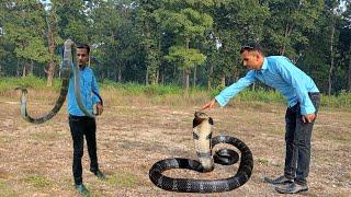   Cobra snake bite । कोब्रा सर्प को कति नजिक जाँदा टोक्छ हेर्नु होला।