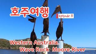 [호주여행 Episode 11] 서부호주 Wave Rock Moore River