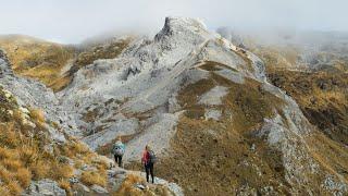 Mount Arthur Summit | Kahurangi National Park, NZ