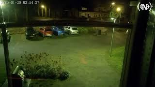 Wolf gespot in woonwijk Nunspeet