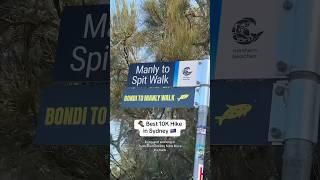  VLOG: Sydney, Australia Coastal Hike from The Spit to Manly 