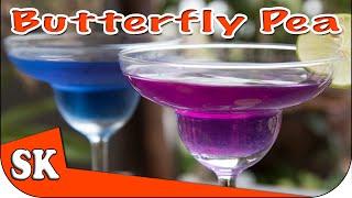 Butterfly Pea Tea - Miracle Health Drink - Clitoria Ternatea