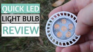 LANDSCAPE LIGHTING LOW VOLTAGE LED LIGHT BULB REVIEW