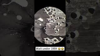 Foundation magnified 400X looks so cool! #underthemicroscope #microscope #science#shorts