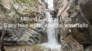 Hiking Millard Canyon Falls Trail - March 2023 - easy hike with beautiful falls.