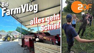 Besuch vom Fernsehen & ich mache nur Mist..  Roden & einlagern - Dinkel drillen & mehr / Vlog 123