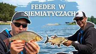 KLASYCZNY FEEDER W SIEMIATYCZACH - akwarium/sposób na dendrobeny | Bartosz Iwaniuk & Patryk Waleśko