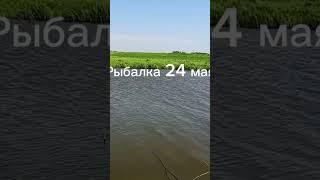 #Диктуй Клёв #Рыбалка #Fishing #Fish #shorts #Short