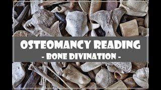  Bone Divination Reading // What You Need to Know Now #osteomancy 