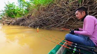 River fishing for prawns, fish and fire eels - Fishing videos