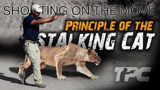 Mastering Shooting On The Move: The Stalking Cat Principle