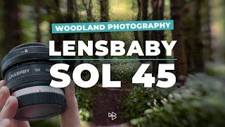 Woodland Photography | Lensbaby Sol 45 | Nikon Z7