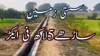 Low Price Agriculture Land - Cheap Price Agriculture Land in Punjab - Azhar Jahangir Official