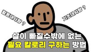 빠른 다이어트를 위해, 나에게 필요한 하루 칼로리는?