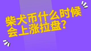 shib幣 | 柴犬幣 | 屎幣 9月27日最新行情走勢分析，多家支付机构允许shib柴犬币支付，各机构继续抄底买入大量shib屎币！什么时候开始暴涨呢？