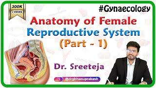 Anatomy of Female reproductive system Part 1-External Female Genitalia / Vagina - OBG Lectures FMGE