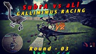GALLIMIMUS RACING THREE ROUND WITH FIGHT | LazySubra Vs Ali | WHO IS WINTER AND SCAMER ! Ark mobile