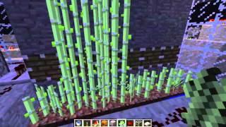 Høw2: Automatic Minecraft Sugarcane Farm with Pistons