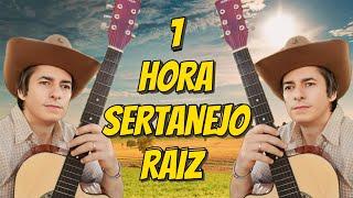 1 HORA De Música SERTANEJA RAIZ Com Joel Amaral