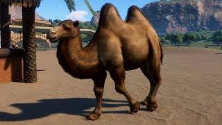 Planet Zoo - Bactrian Camel Gameplay (PC HD) [1080p60FPS]