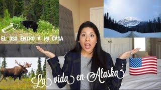 MI EXPERIENCIA VIVIENDO EN ALASKA - VIVIENDO EN LAS OSCURIDA 24 AL DIA - STORYTIME.