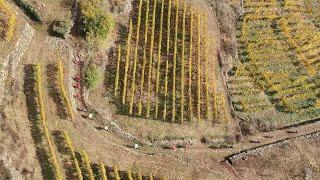 Valtellina Wine Trail 2018