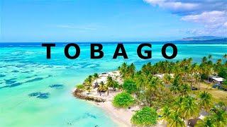 TOBAGO: TRAVEL GUIDE Trinidad & Tobago - ALL top sights in 4K + Drone