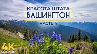 Красота Штата Вашингтон - Документальный фильм о природе #4 - Восточный Вашингтон и Парк Олимпик