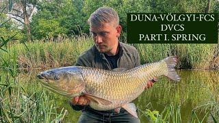 Grasscarp & Carp Fishing in Duna-Völgyi-Főcsatorna “DVCS” Part 1, Spring