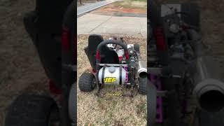 Shifter kart 250cc