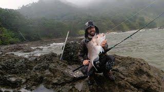 Coromandel Rock Fishing   Summer Vibes 2023