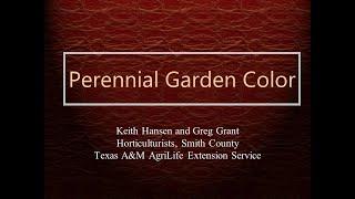 Perennial Garden Color - Part 1