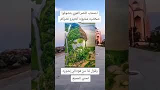 #اليمن#تعز#أب#صنعاء_