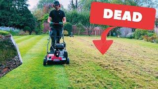 Say Goodbye To Your UGLY Lawn | Essential Tips for Beginners | With Results 9 Weeks Later