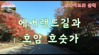 에버랜드 단풍길 드라이브[4K] - 에버랜드 일대의 풍광을 드라이브로 즐기며 호암호숫가 산책으로 가을 정취를 만끽하는 힐링을 누려보세요! Everland drive course!