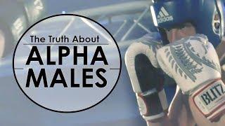 What Does It Mean To Be An Alpha Male? - How The Role Of Alpha Has Changed Over Time