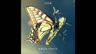 Kitty Cat - Amon Tobin