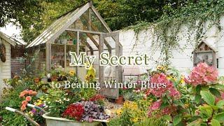 How I Tackle Winter Blues in the Garden  From Greenhouse to Tulips