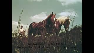 Landwirtschaft in Farbe in den 1950er Jahren  Historische Aufnahmen vom Pferdekarren bis zum Traktor