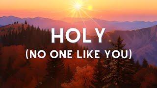 ️ Christian Lofi Worship | Holy (No One Like You)