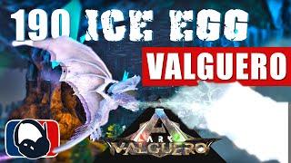 ️ Steal 190 Ice Wyvern Egg On Argy! - ARK Valguero Official