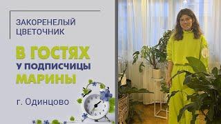 В гостях у Марины, г. Одинцово. Интереснейшая коллекция комнатных растений за 2 года. Вариегатные.