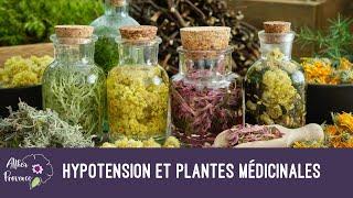Hypotension : les plantes qui peuvent aider