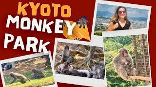 Kyoto Monkey Park - Monkeys Roam Free - Best Things to do in Kyoto