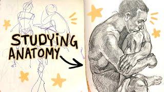 how I study anatomy  sketchbook tour 2019-2023