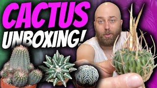 18 Cacti That Will Blow Your Mind! | Rare Cactus Unboxing