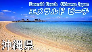 Emerald Beach ( Okinawa, Japan )  / Spectacular Views of Japan