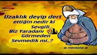 Mevlana Sözleri  ( İlaç Gibi )  Asıl yar yaradandır...!!! #mevlana